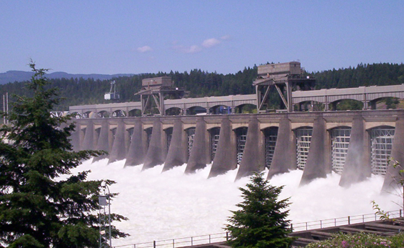 Water flowing through Bonneville Dam