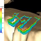 3D image of observed oxygen readings