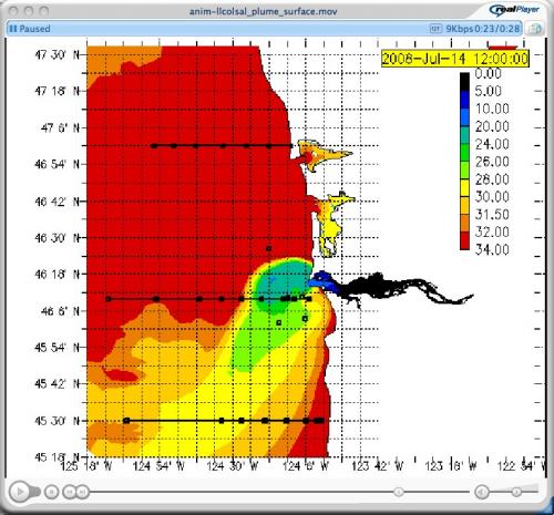 Screen Grab of Forecast animation of surface salinity