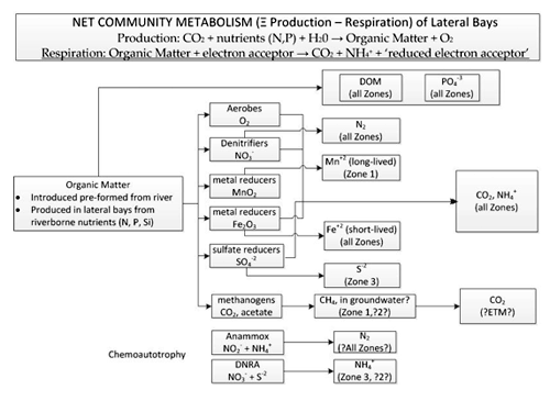 Chart summarizing the various types of metabolisms capable of organic matter decomposition and key products of those metabolisms that are or potential could be measurable.