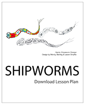 Shipworm Lesson Plan